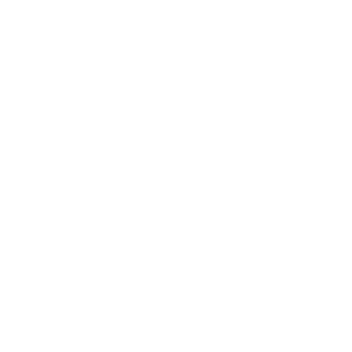 Mint Aesthetics & Skin logo